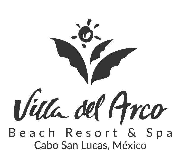 Villa Del Palmar Flamingos Beach Resort And Spa Official Site